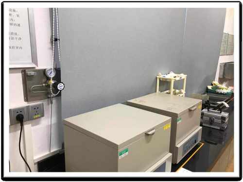 简易微水载气进样器：便捷高效的进样解决方案