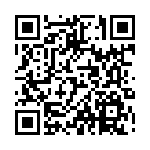 手机扫码查看